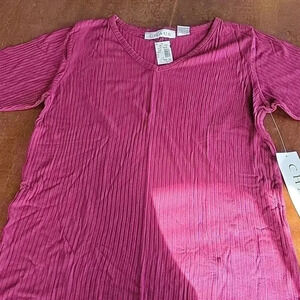 Chaus NWT VNeck Top Size Small